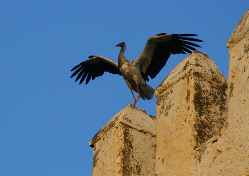 [07+06+037_edited-1.jpg]