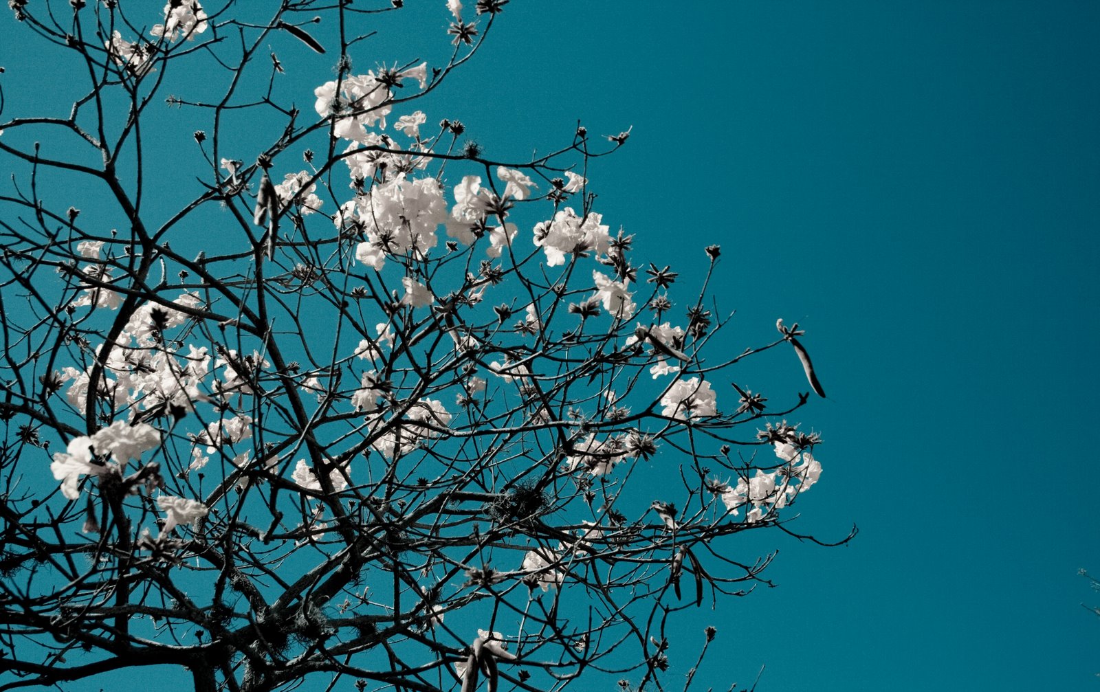 [031609_3659.jpg]