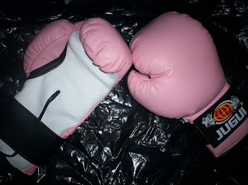 Luvas de Boxe / Muay Thai / Sanshou Couro especial rosa 10 oZ