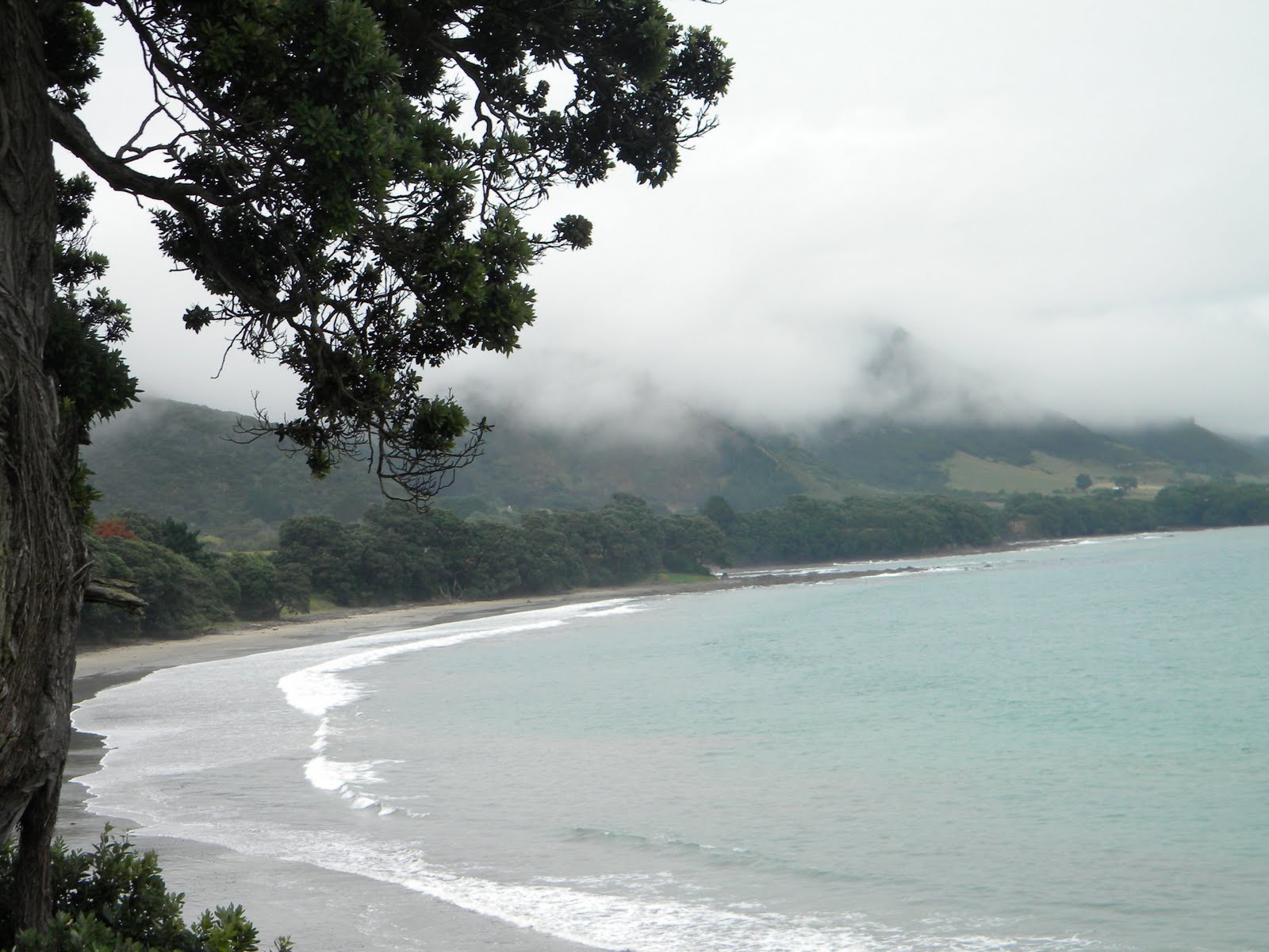 [dads+view+left.JPG]