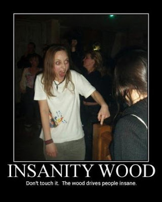 insanity_wood_dont_touch_it_the_woo_motivationals-s352x440-55498-580.jpg
