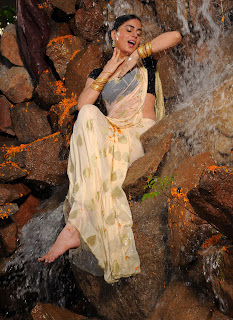 Shraddha Arya in wet saree