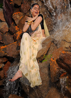 Shraddha Arya Hot in wet saree