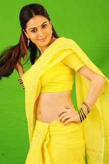Shraddha Arya Hot In Yellow saree