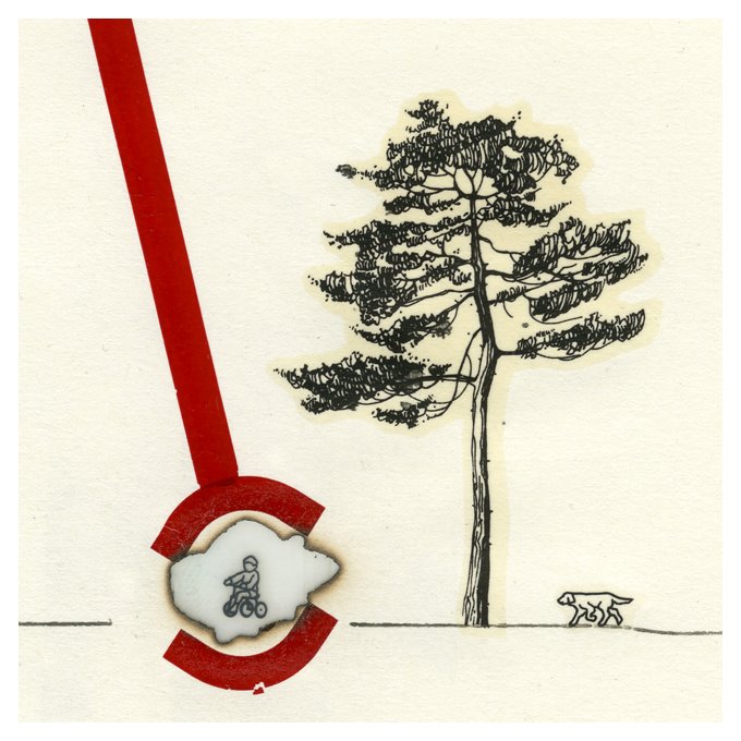 [sucede+detalle.jpg]