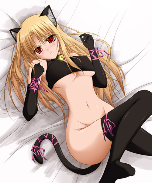 [cat_03.jpg]