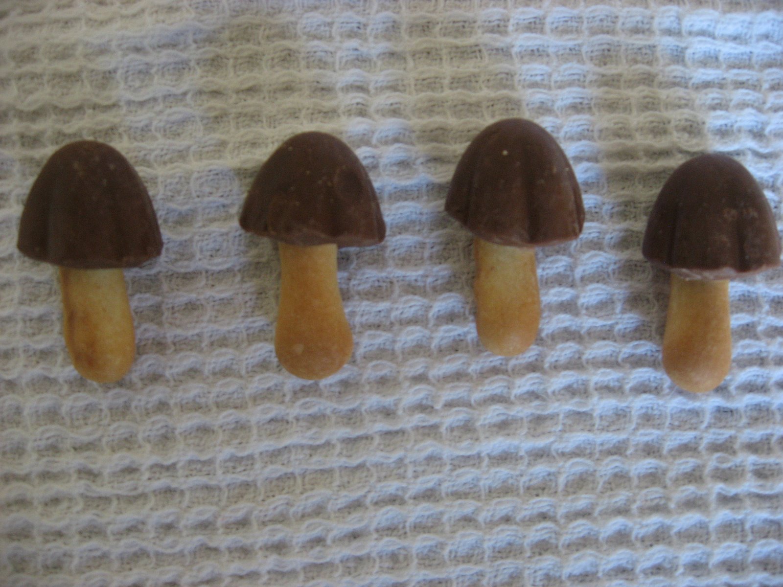 [mushrooms.JPG]