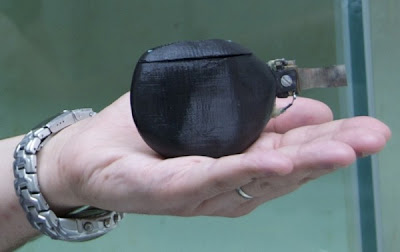 Peixe robô