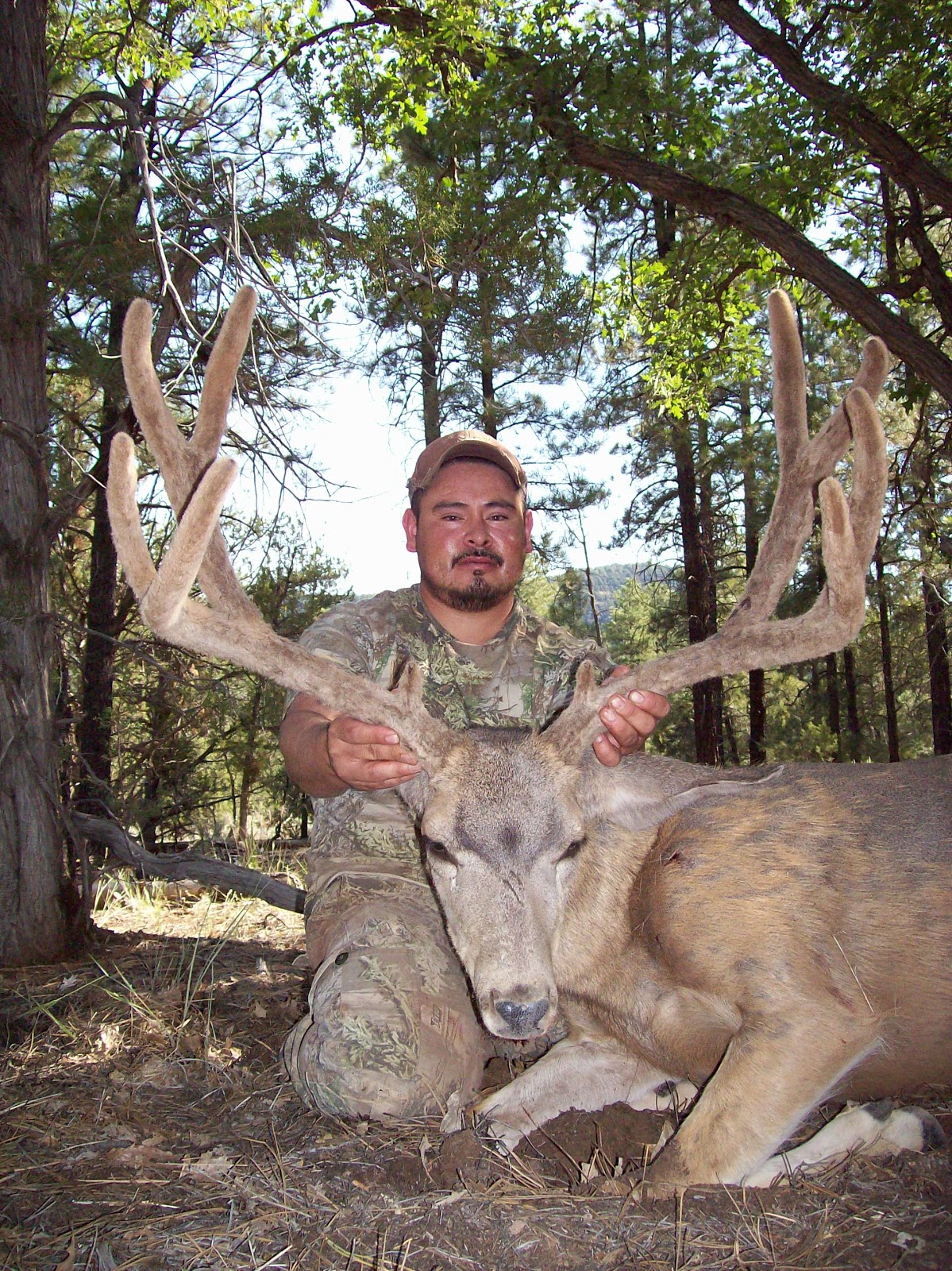 A3 Trophy Hunts LLC Joe's 2009 AZ Archery Mule Deer