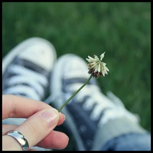 http://4.bp.blogspot.com/_cNW-NI89J8M/TUtsOOU2H9I/AAAAAAAAAiU/8izwq_VQoes/s320/i%2Bwish.jpg