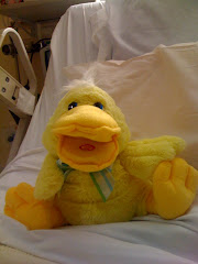 "Shingle" the Duck from Cori