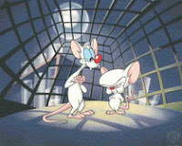 the brain control room