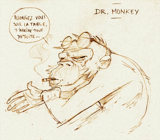 [drmonkey+copie.jpg]