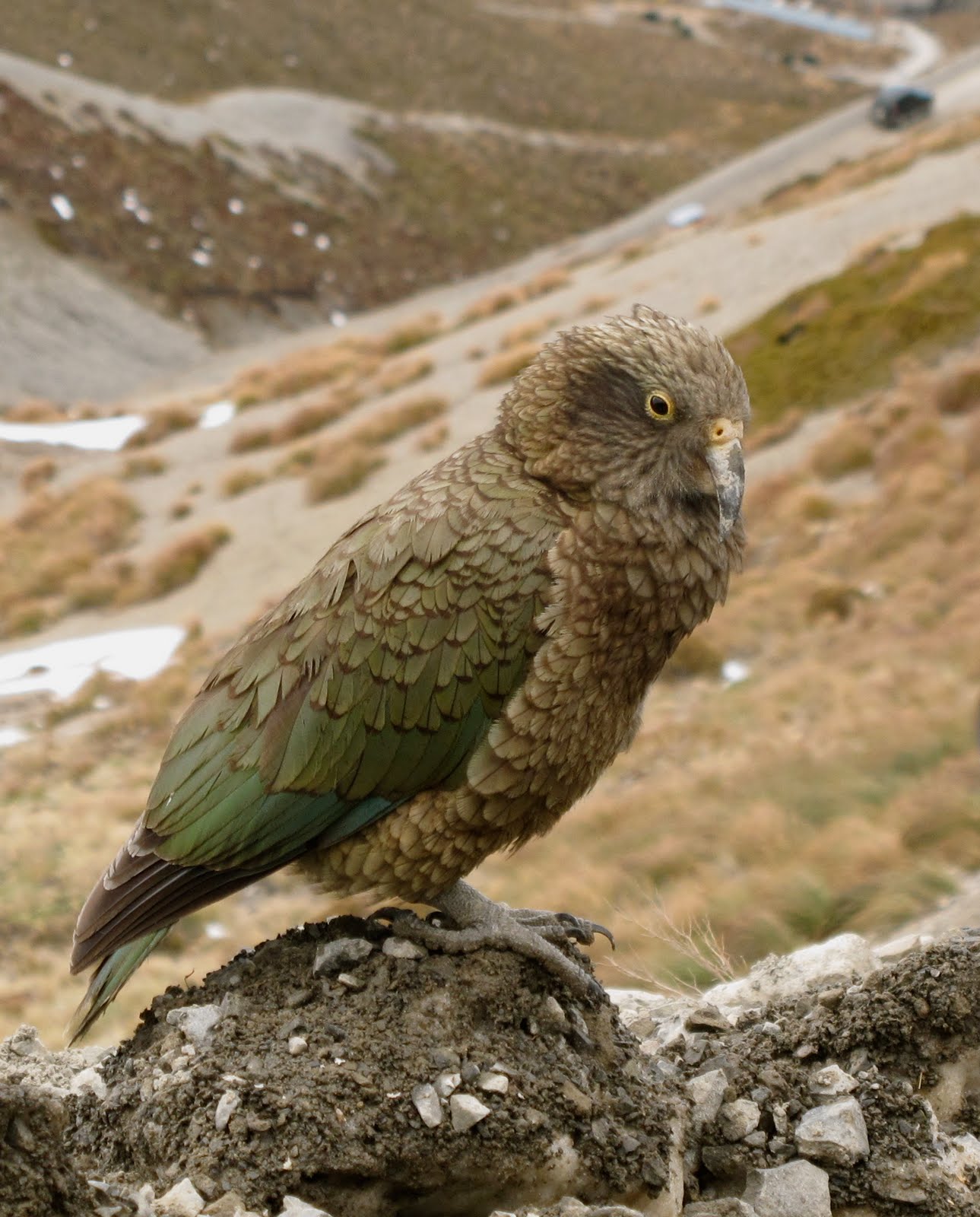 rencontre avec un ballon images subliminales