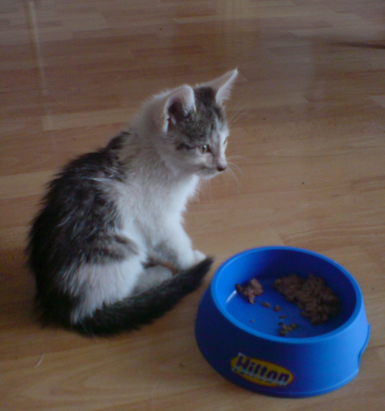 [DSC00063.JPG]