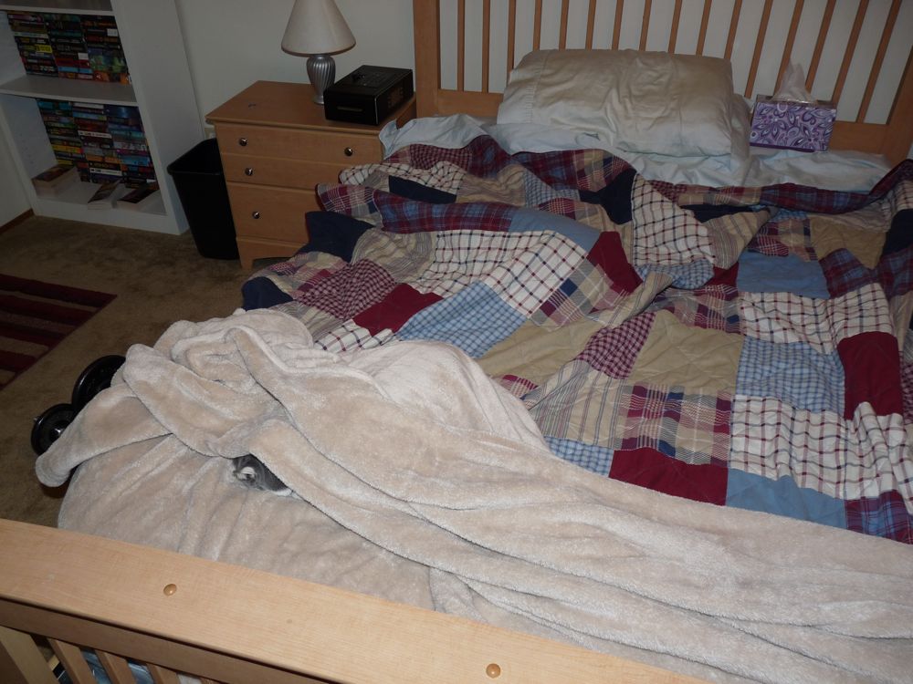 Badtux the Snarky Penguin Lumpy bed