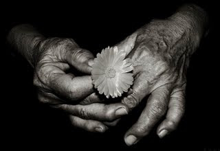 Magnésio e Envelhecimento