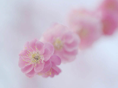 [IMGP2106_edit(s).jpg]