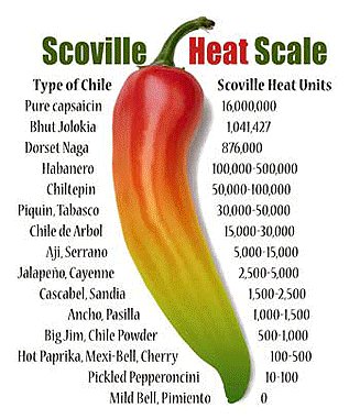 scoville scale chilli heat peppers capsaicin capsicum pure jalapeno strength ck food taste hot habanero chile chillies cayenne mild medicinal