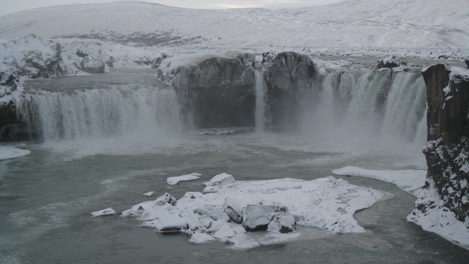 [IMG_7545.JPG]