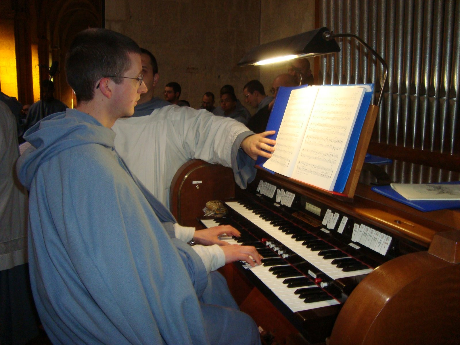 [organ.JPG]