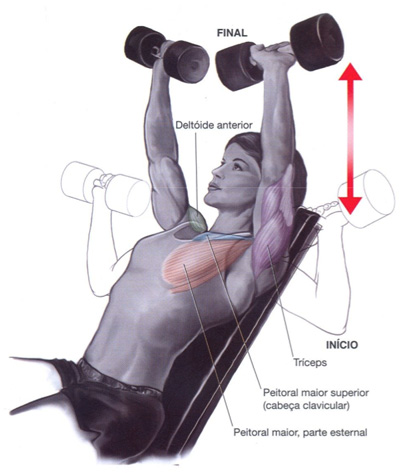 Supino inclinado: Execução, músculos e dicas para mais resultados!