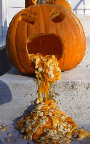 funny halloween pictures funny halloween pictures