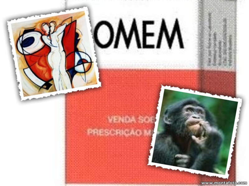 [capa2.jpg]