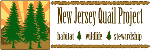 New Jersey Quail Project