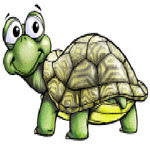o_Cute_Turtle.jpg