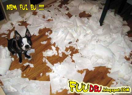 Cachorro rasgando um monte de papel cartas... fuudeu