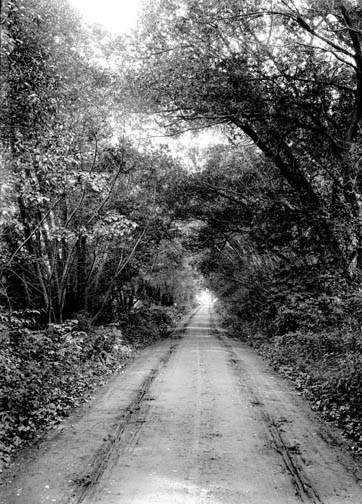 road in Belmont MA