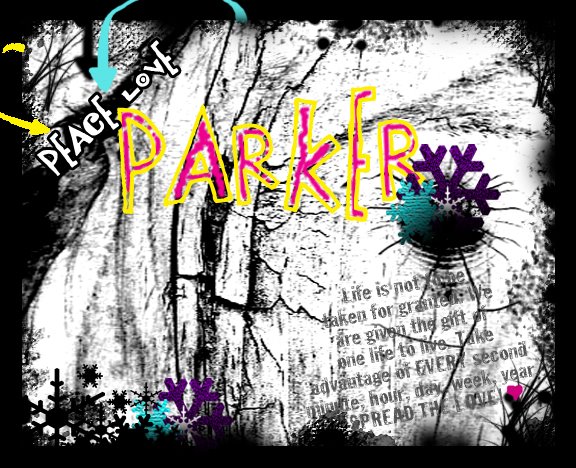 PeaceLove:::Parker