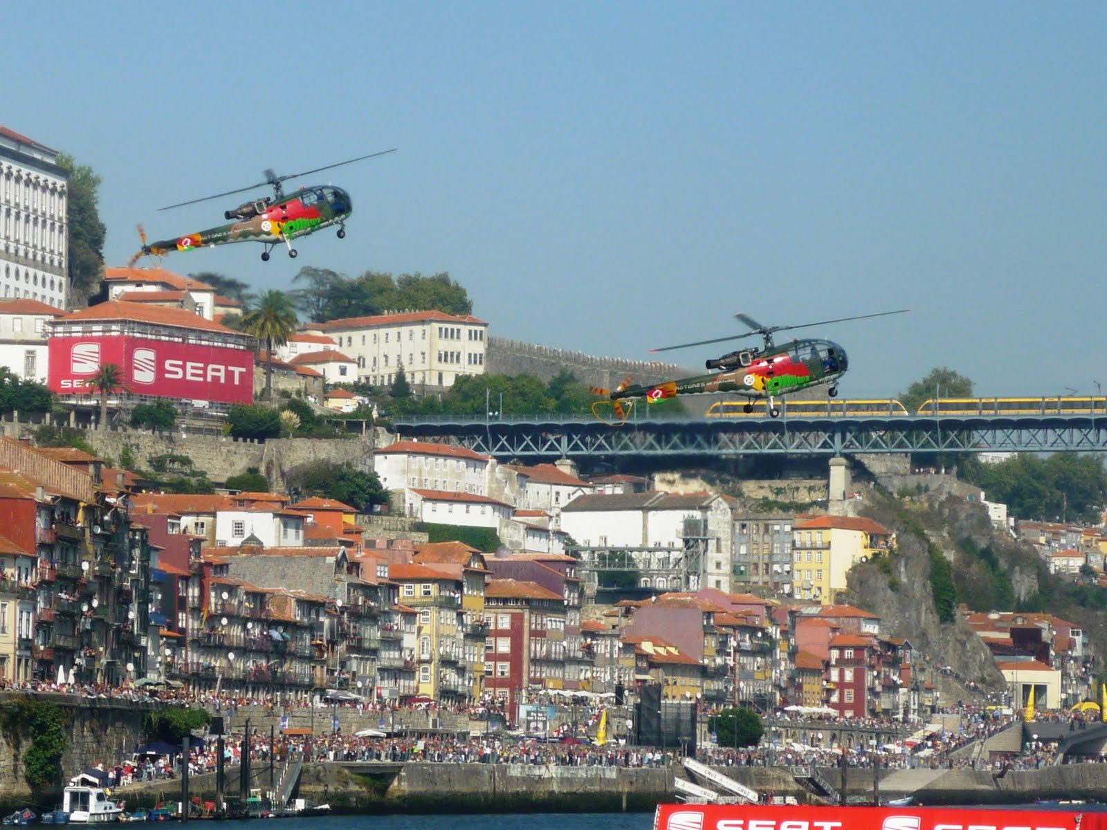 [P1110637.JPG]