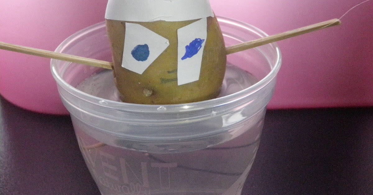 Unschooling Homeschool: Grow Potato Experiment No.2 - 14 August 2010