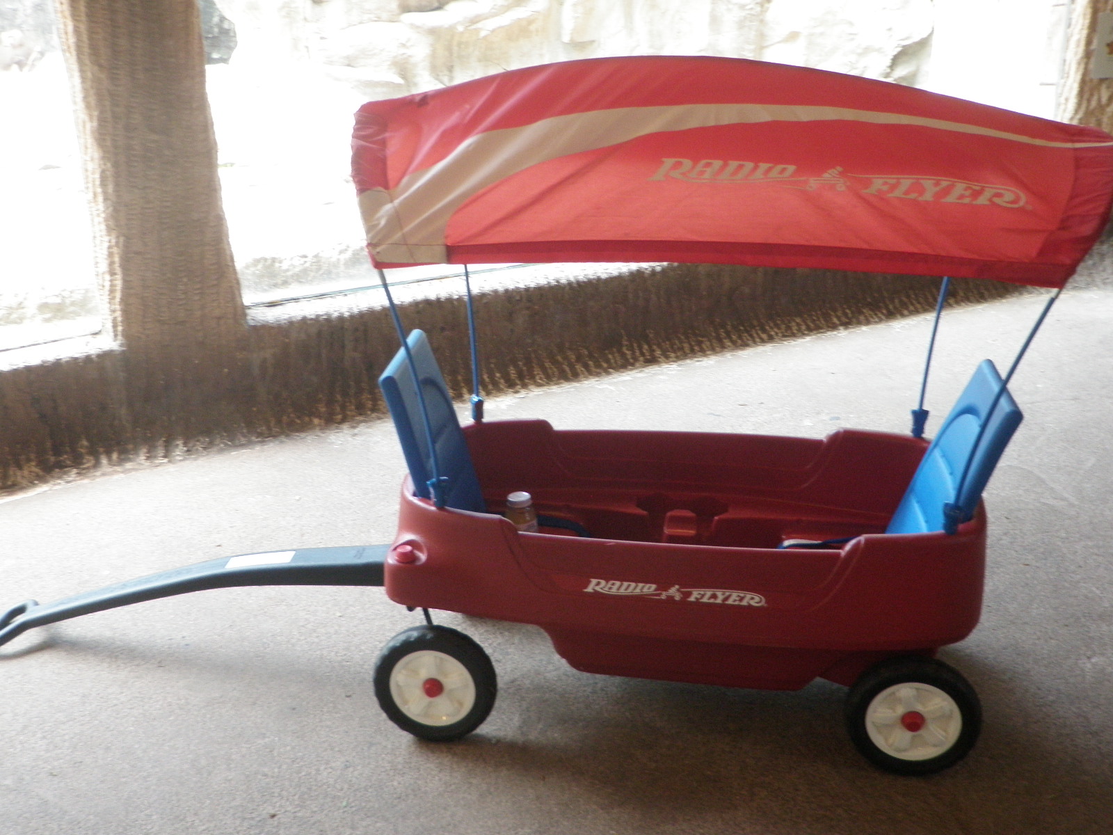 Unschooling Homeschool Singapore Zoo & Night Safari 26 December 2010