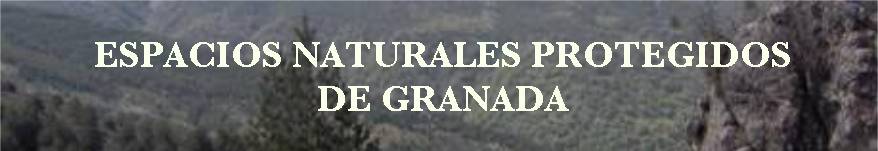ESPACIOS NATURALES PROTEGIDOS DE GRANADA