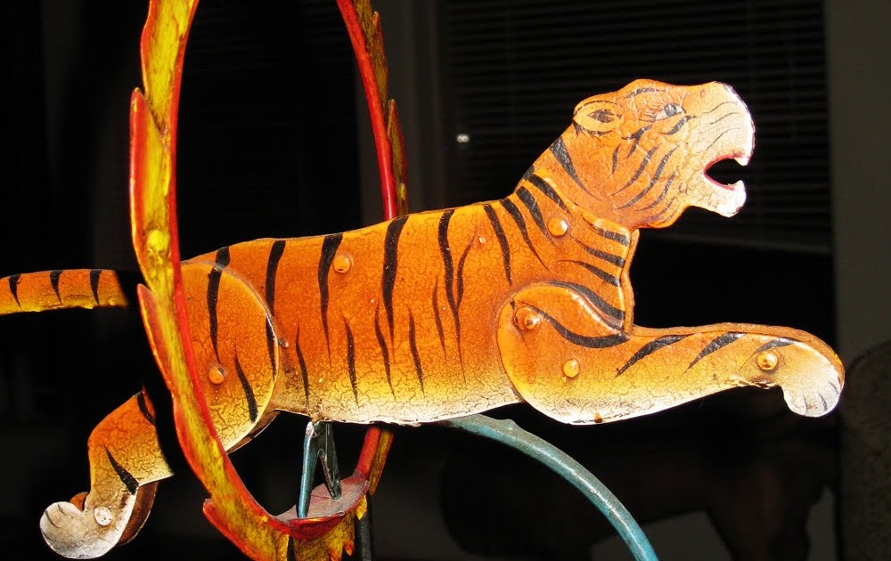 forms traced by light: jumping through hoops