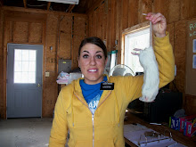 Feeding the Owls RATS!