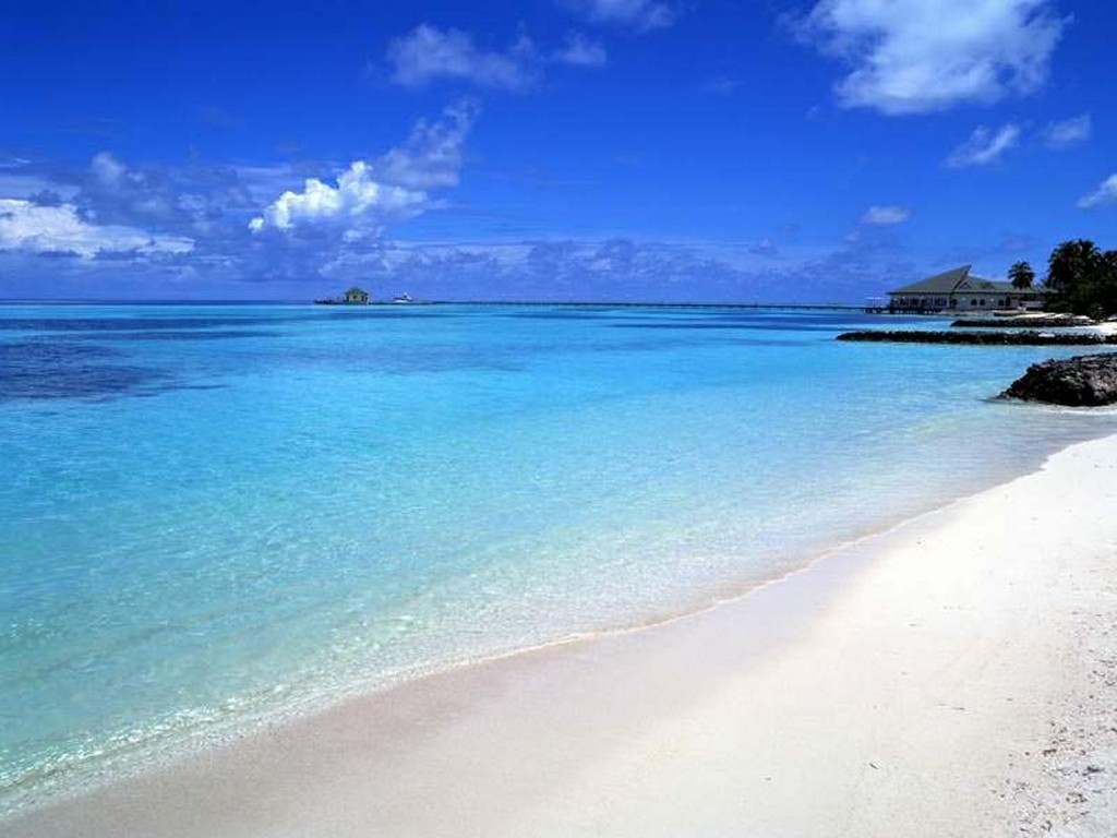 http://4.bp.blogspot.com/_cWcuJM9QIG4/S7buZnv5AxI/AAAAAAAAAVY/UcQz2rQUfXs/s1600/beach%2525252Bwallpapers%252525252Bmobile%2525252Bwallpapers%252525252Bpc%2525252Bwallpapers%252525252Bbeach%2525252Bwallpapers%252525252Bwallpa%25252525E2%2525252580%252525258Bpers%252525252Bmobile%2525252Bthemes%252525252Bpc%2525252Bthemes%2525252B80.jpg