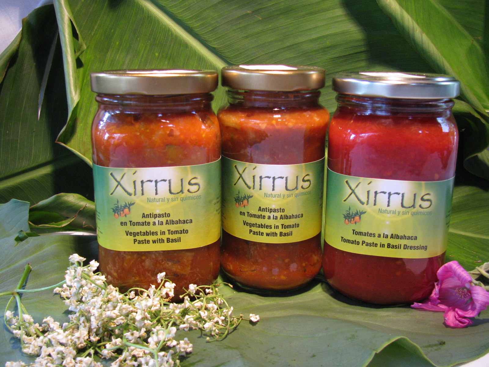 alianzaxirrus Salsas encurtidos y antipastos de Productos Xirrus