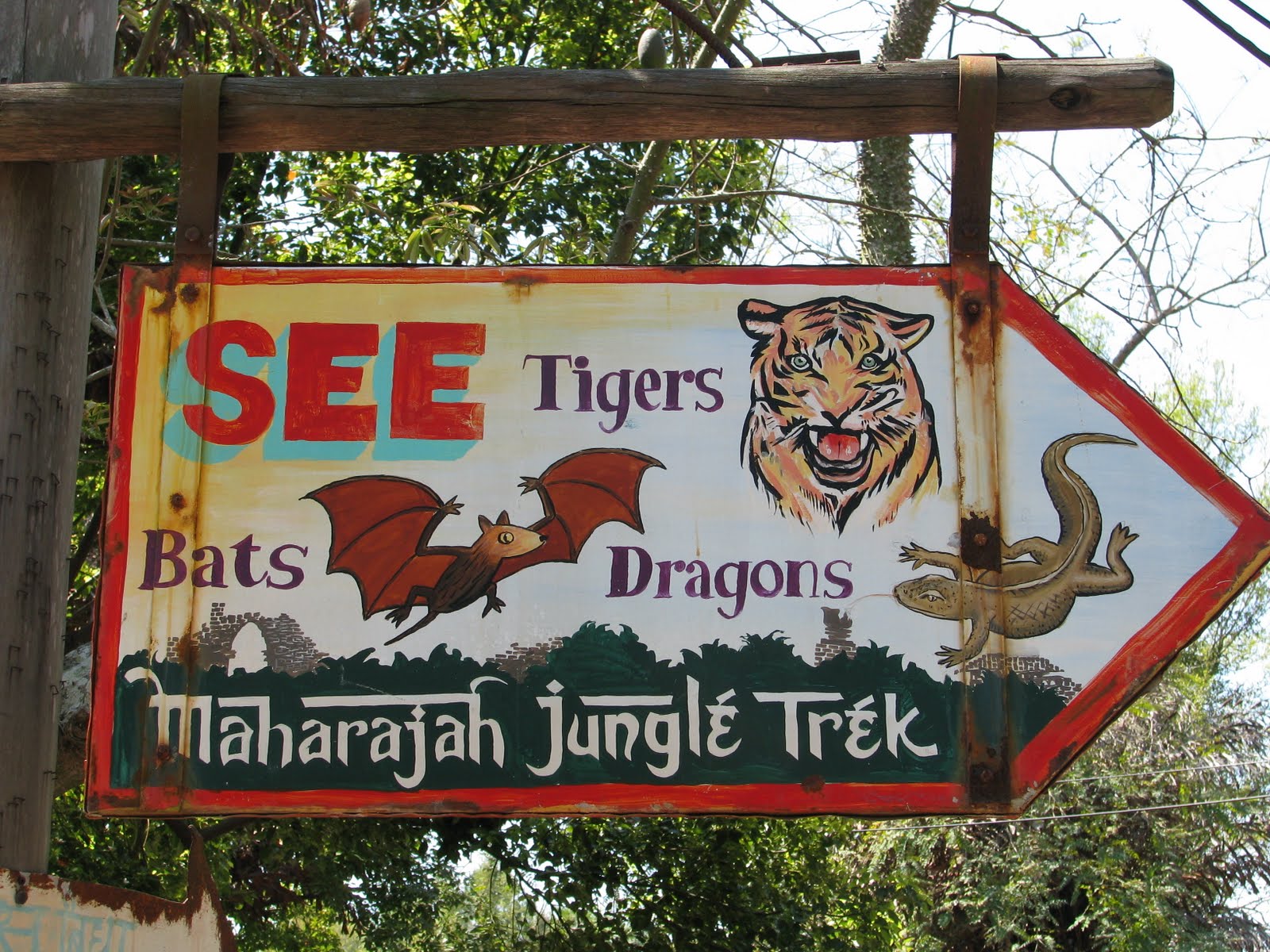 See Tigers, Bats, & Dragons On The Maharajah Jungle Trek At Disney's