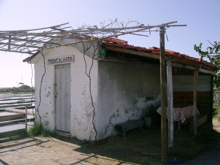 [Gaivota5.JPG]