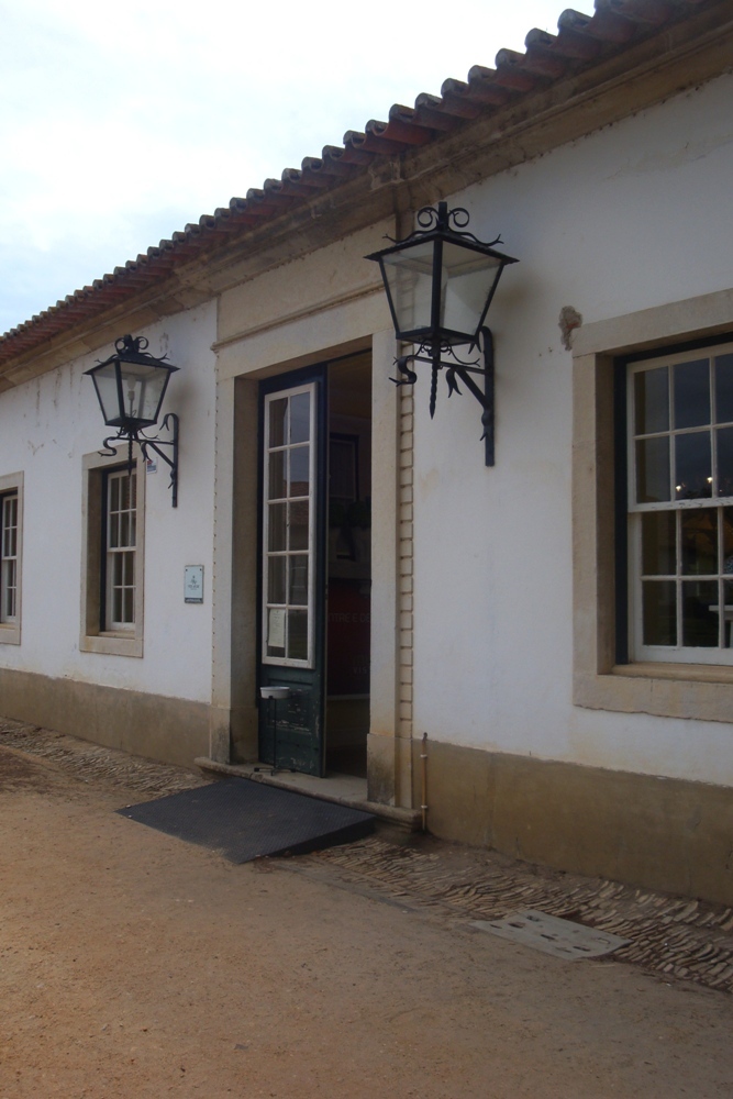 [Festa999993.JPG]