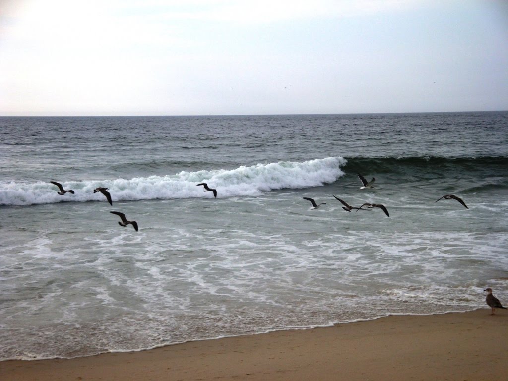[DSC09888.JPG]