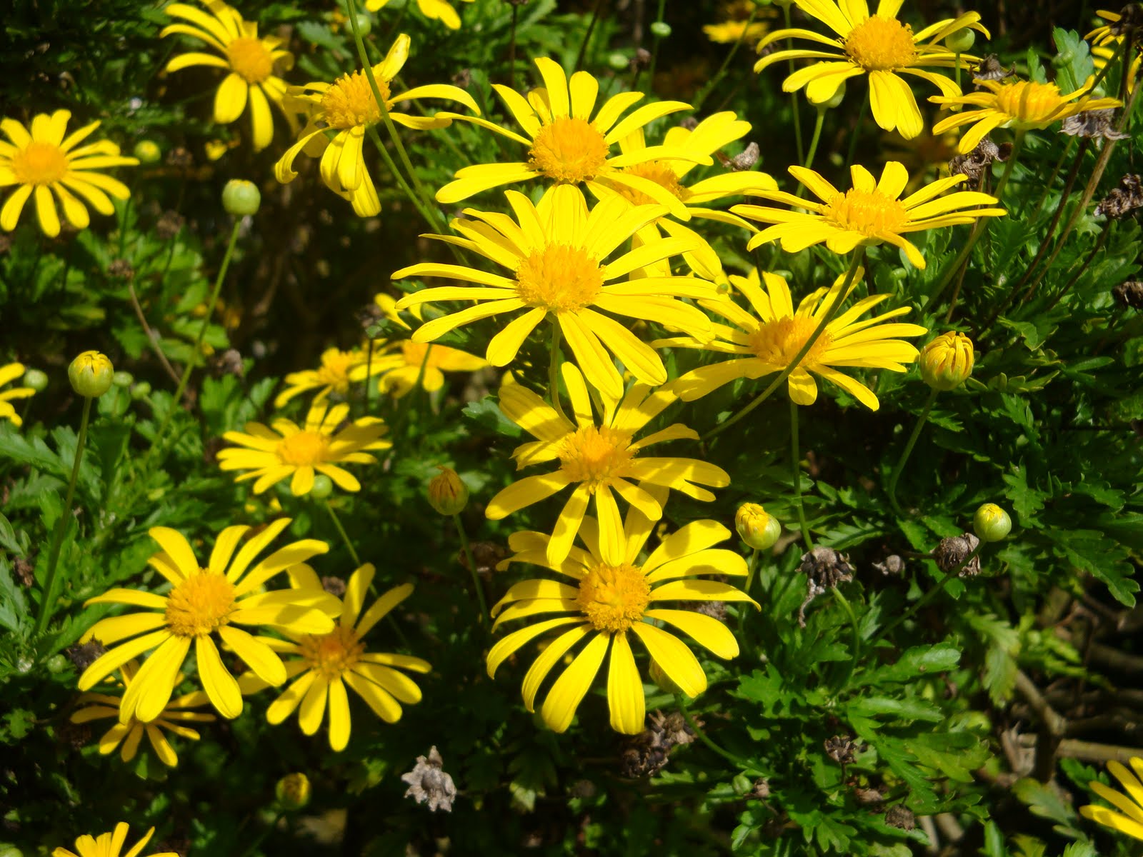 [DSC01086.JPG]