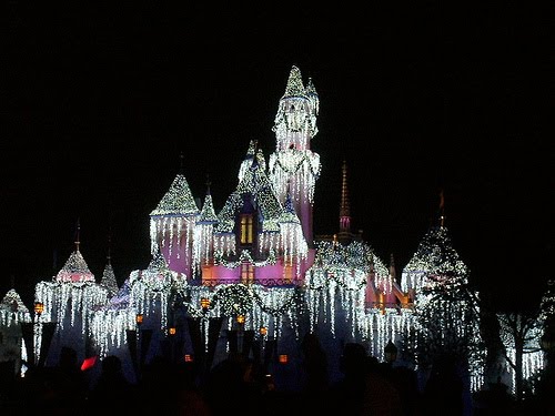 [2074707233_71de182003.jpg]