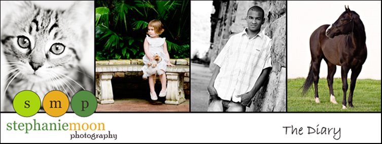 The Diary of Stephanie Moon Photography