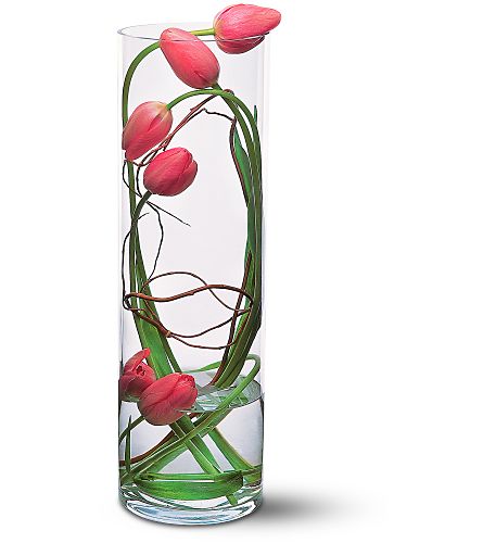 [tulips.jpg]
