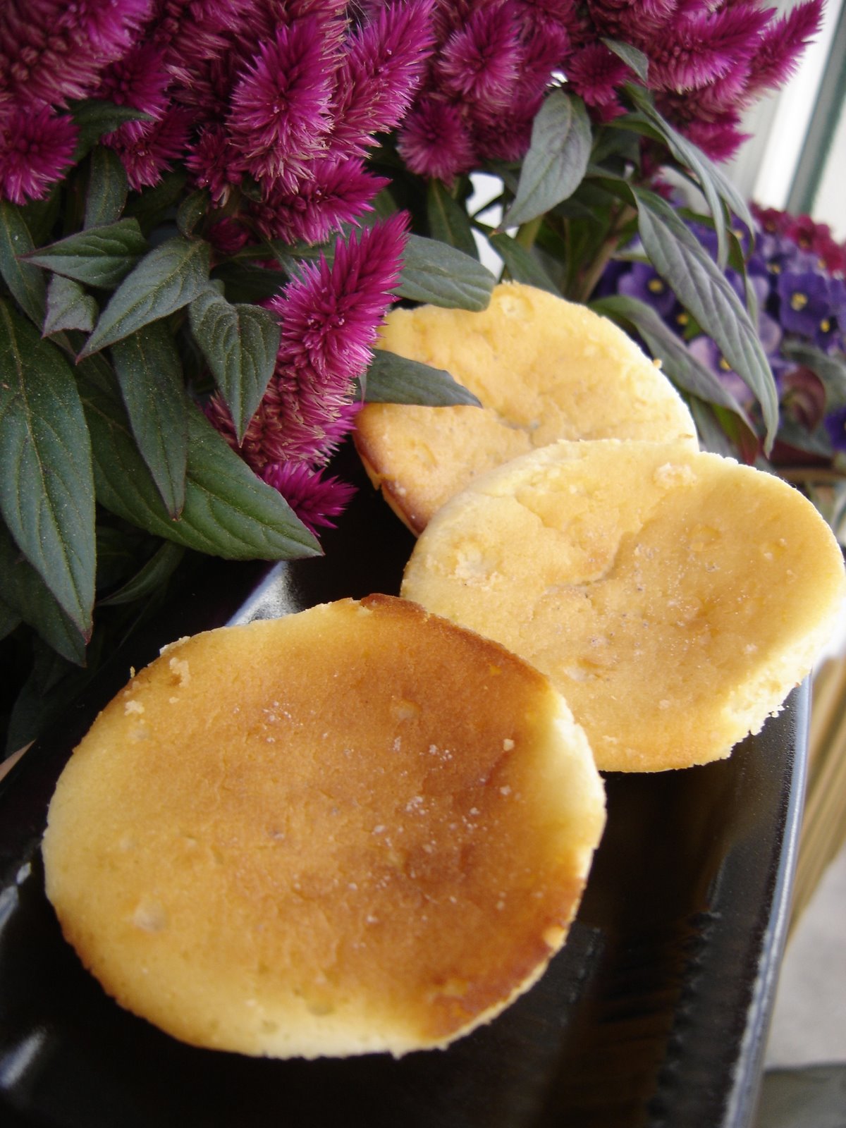 [QueijadasIogurte.JPG]